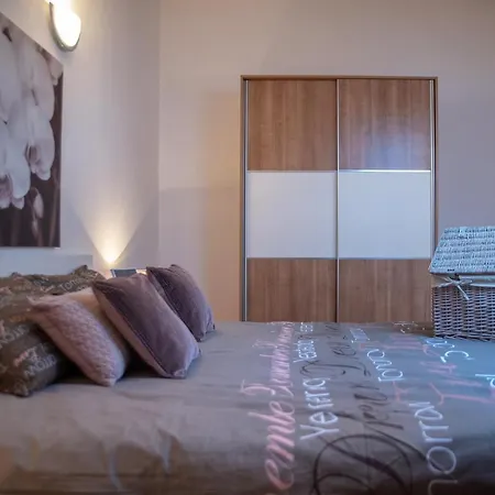 Large Specious 普拉