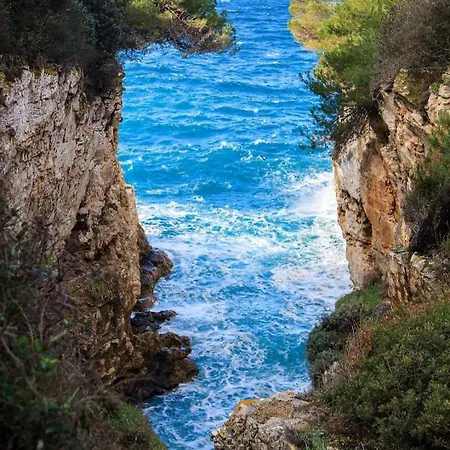 Large Specious Apartamento *