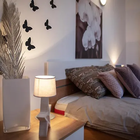 Apartamento Large Specious