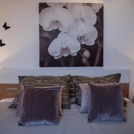 Large Specious شقة بولا