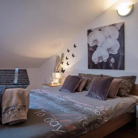 Apartment Large Specious *