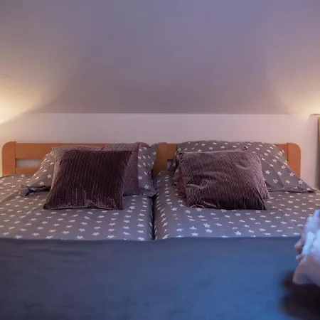 Large Specious بولا