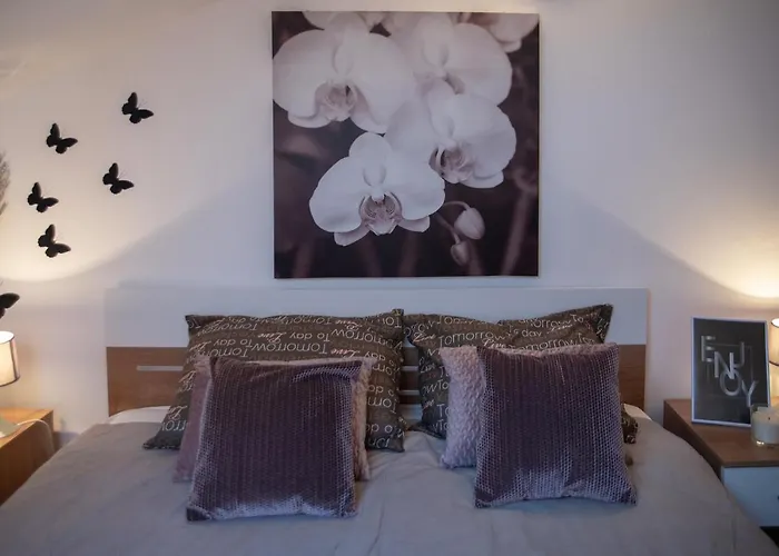 Large Specious Apartment Pula